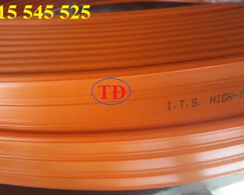 Ray điện thanh quẹt là gì?