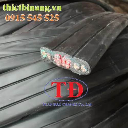 Dây cáp dẹp 4Cx4 + 10Cx1.5 Dae Duk