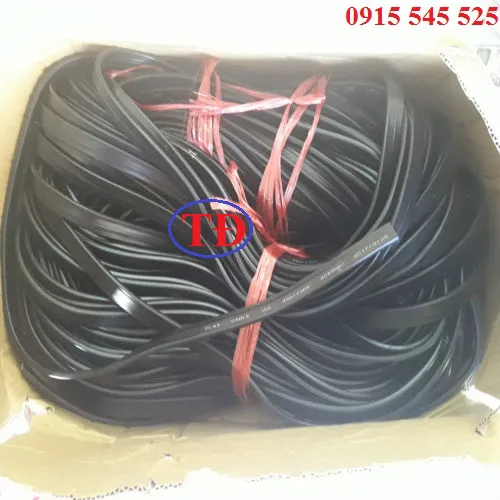 Cáp dẹt cầu trục