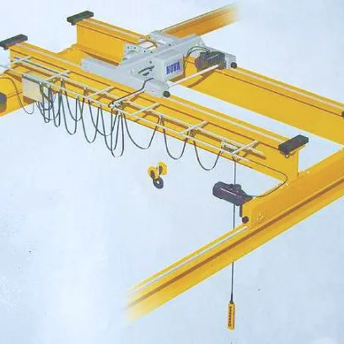 Cầu trục dầm đôi