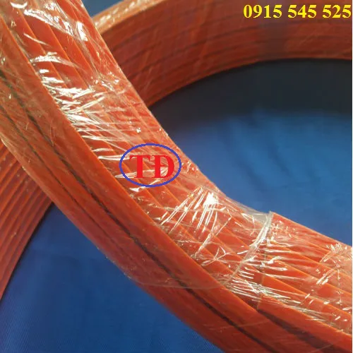 Ray điện an toàn 3P50A