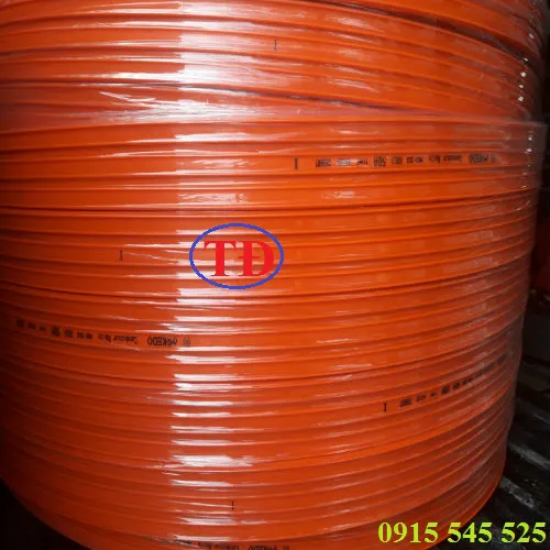 Ray điện an toàn cầu trục