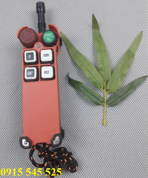 dieu-khien-tu-xa-cho-palang-toi-f21-4s dieu-khien-tu-xa-cho-palang-toi-f21-4s