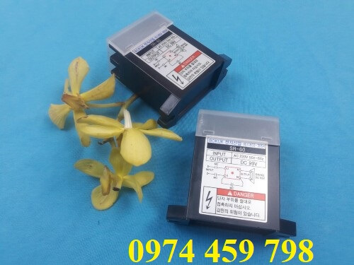 diot-chinh-luu-cho-thang-cau-truc-sr-60-bokuk diot-chinh-luu-cho-thang-cau-truc-sr-60-bokuk