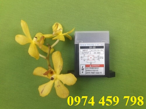 diot-chinh-luu-cho-thang-cau-truc-sr-60-bokuk diot-chinh-luu-cho-thang-cau-truc-sr-60-bokuk