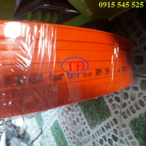 Hình ảnh ray điện an toàn 4P Hình ảnh ray điện an toàn 4P