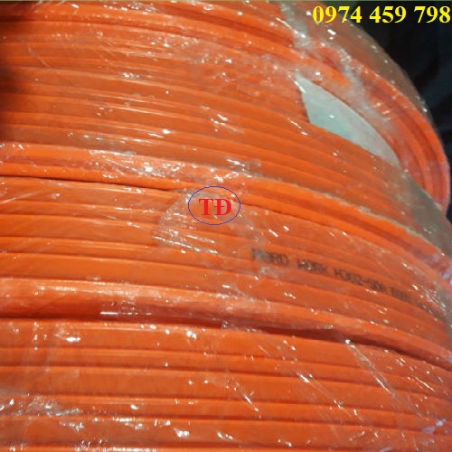 Ray điện cầu trục hiệu Hardwork Ray điện cầu trục hiệu Hardwork