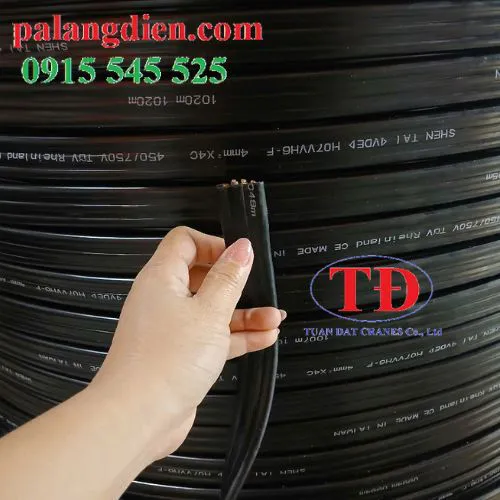 Dây cáp điện dẹp cầu trục 4Cx6