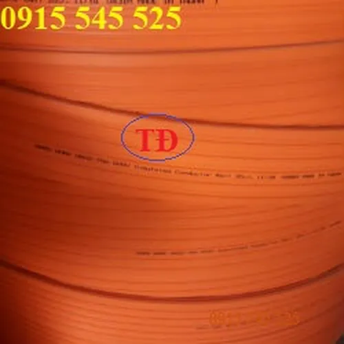 Ray dẫn điện cầu trục H302, H402, H602