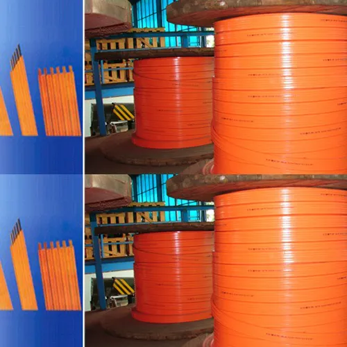 Ray điện cầu trục