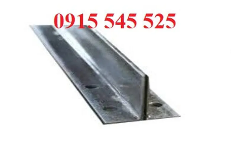 Ray dẫn hướng thang máy các loại