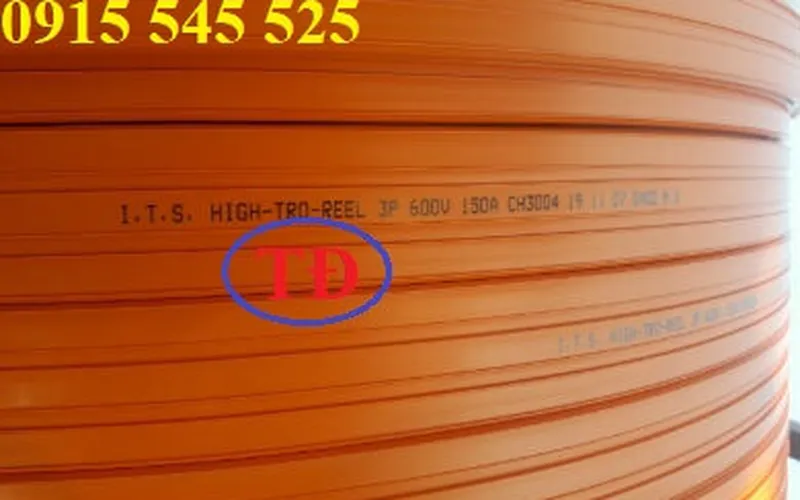 Ray điện cầu trục ITS có giá như thế nào?