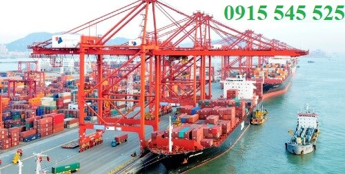 co-gop-dien-cho-cau-container co-gop-dien-cho-cau-container