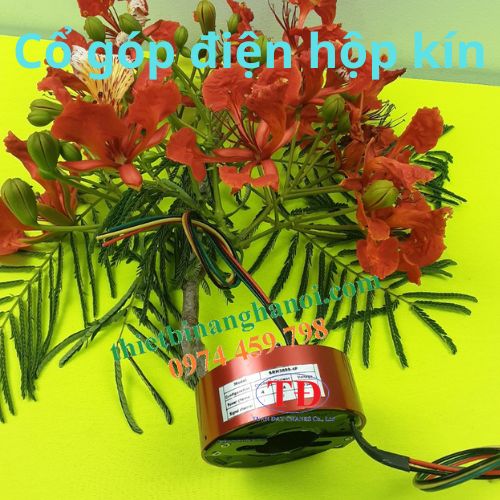 co-gop-dien-hop-kin co-gop-dien-hop-kin