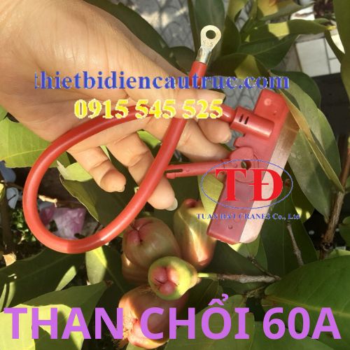 la-than-choi-dien-cau-truc-60a la-than-choi-dien-cau-truc-60a