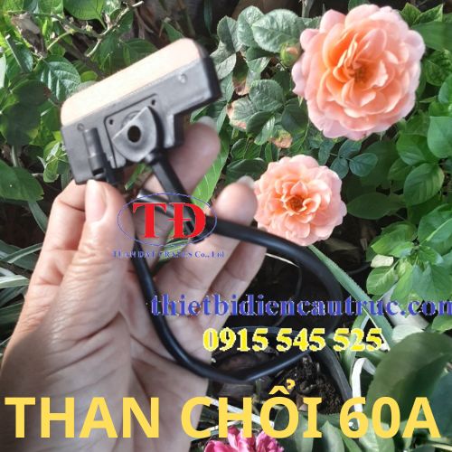 la-than-choi-dien-cau-truc-60a la-than-choi-dien-cau-truc-60a