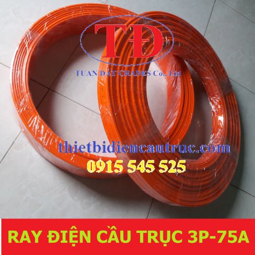 ray-dien-cau-truc-3p-75a ray-dien-cau-truc-3p-75a
