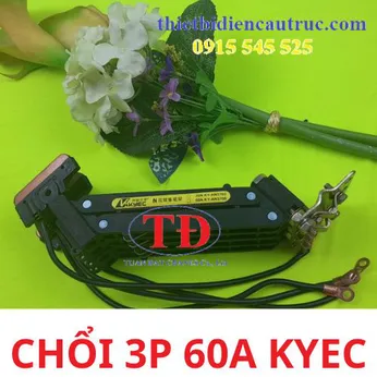 Chổi quét điện cầu trục 3P 60A Kyec