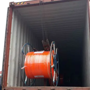 Ray điện an toàn 3 pha 100 ampe