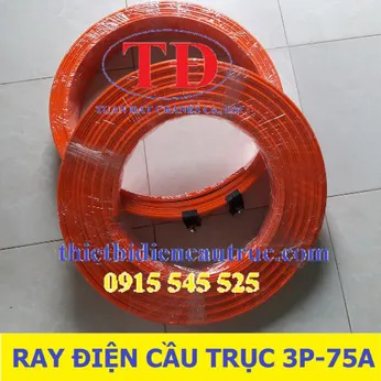 Ray điện cầu trục 3P-75A