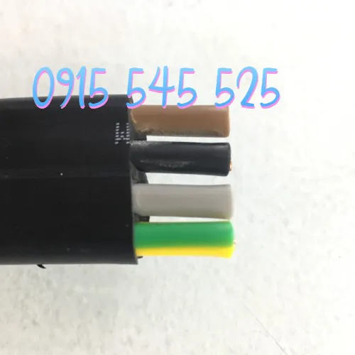 Dây cáp dẹt cầu trục 4Cx2.5 Echu