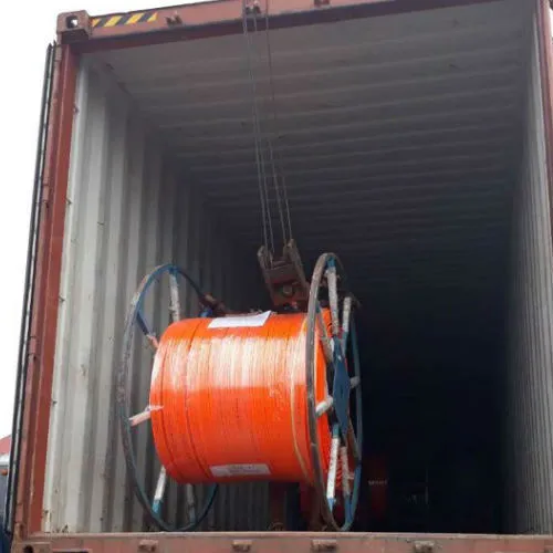 Ray điện an toàn 3 pha 100 ampe