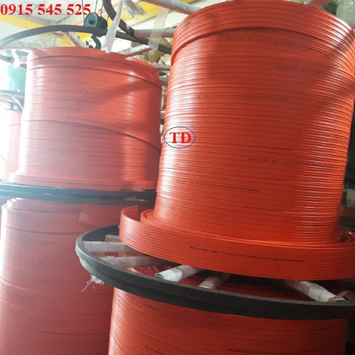 Ray điện an toàn cầu trục 3P 75A