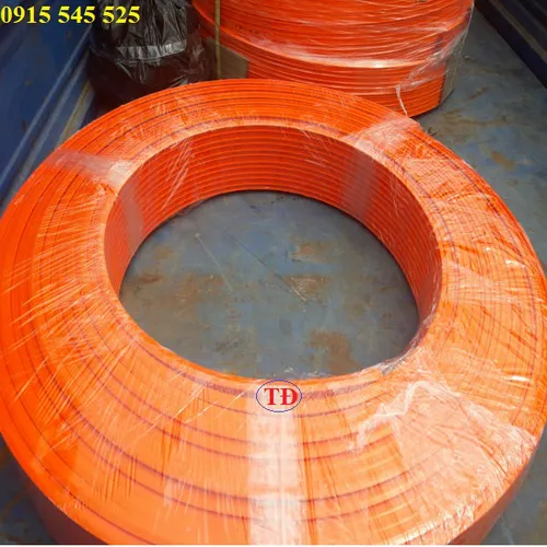 Ray điện thanh quẹt 3P 50A