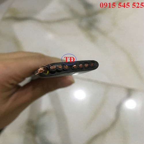 Cáp dẹt cầu trục Cáp dẹt cầu trục