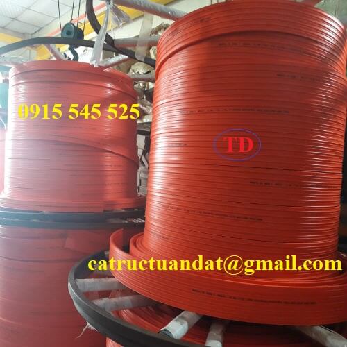 Ray điện thanh quẹt 3P - 50A Ray điện thanh quẹt 3P - 50A