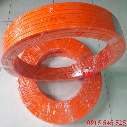 Ray điện an toàn Ray điện an toàn