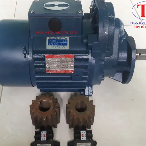 Motor dầm biên Sungdo 0.75 Kw