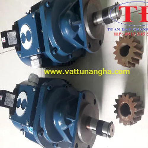 Motor dầm biên