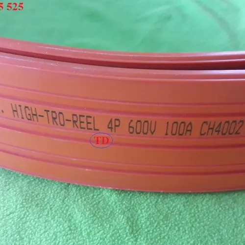 Ray điện an toàn 4P 100A