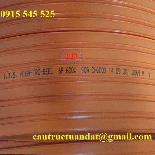 Ray điện an toàn 6P 50A ITS Đài Loan