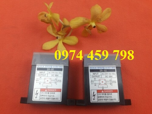 diot-sr-60-bokuk-vao-ac220v-ra-dc-99v diot-sr-60-bokuk-vao-ac220v-ra-dc-99v