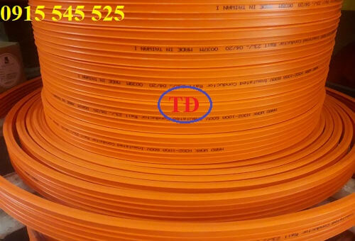 Ray điện an toàn 3P-50A Ray điện an toàn 3P-50A