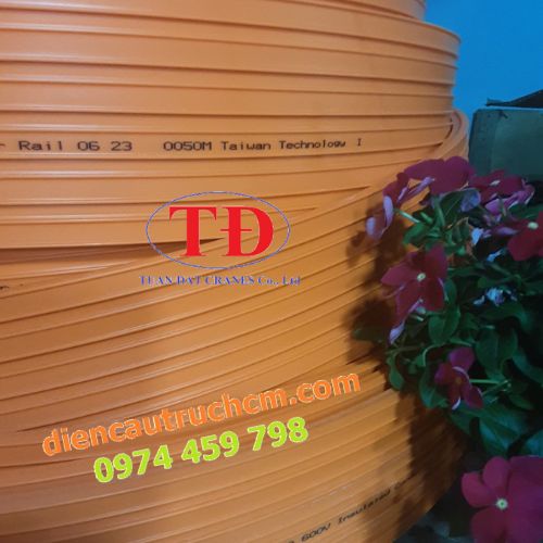 ray-dien-an-toan-cau-truc-6p-50a ray-dien-an-toan-cau-truc-6p-50a