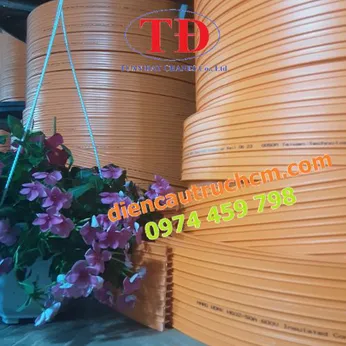 Ray dẫn điện cầu trục loại 6P-50A
