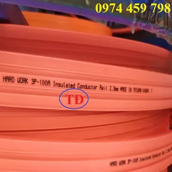 Ray điện an toàn cầu trục 3P 100A