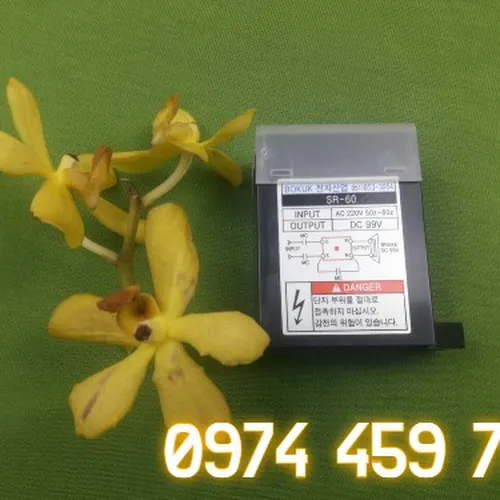 Diot SR-60 Bokuk vào AC 220V ra DC 99V