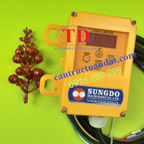 bo-bao-qua-tai-cau-truc bo-bao-qua-tai-cau-truc