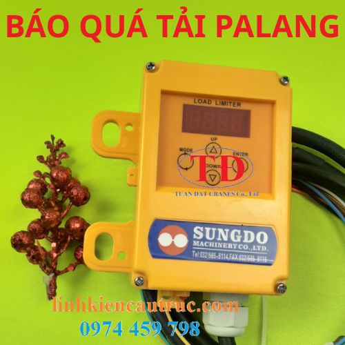 bao-qua-tai-palang-cau-truc bao-qua-tai-palang-cau-truc