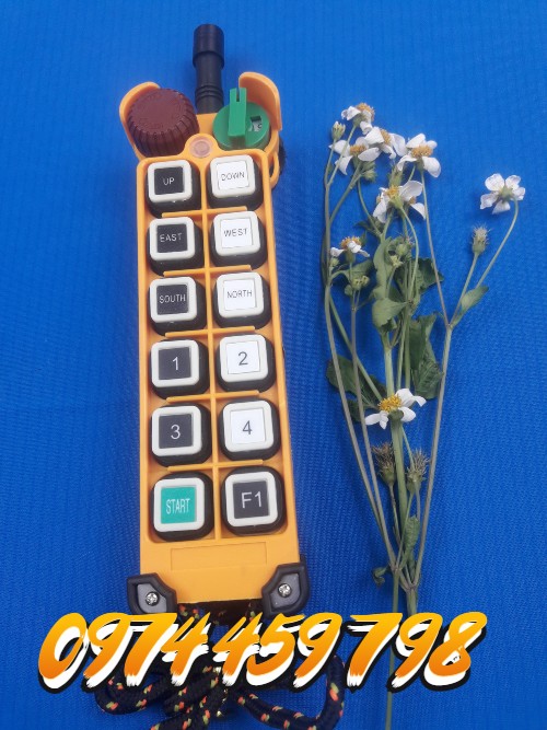 dieu-khien-cau-truc-tu-xa-telecrance f24-12d dieu-khien-cau-truc-tu-xa-telecrance f24-12d