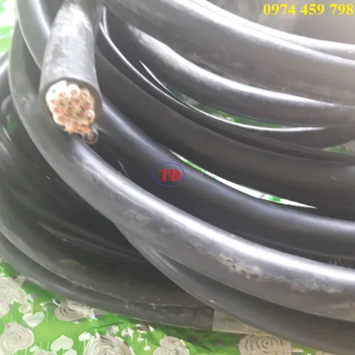 Cáp điều khiển lõi thép 10Cx1.25