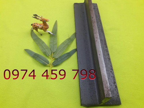 ray-dan-huong ray-dan-huong