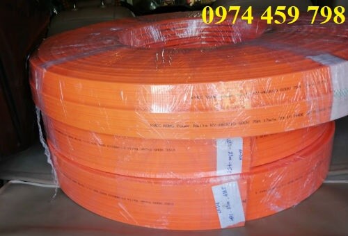 ray-dien-an-toan-cau-truc ray-dien-an-toan-cau-truc