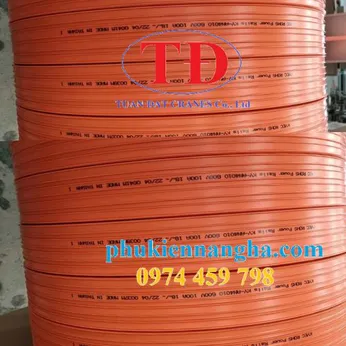 Ray điện an toàn cầu trục loại 3P-100A Kyec