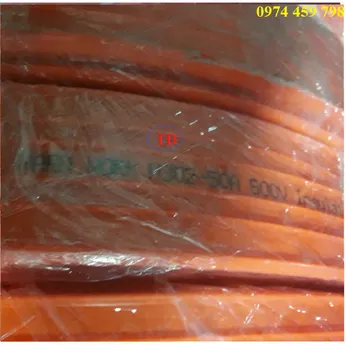 Ray điện an toàn Hardwork H302