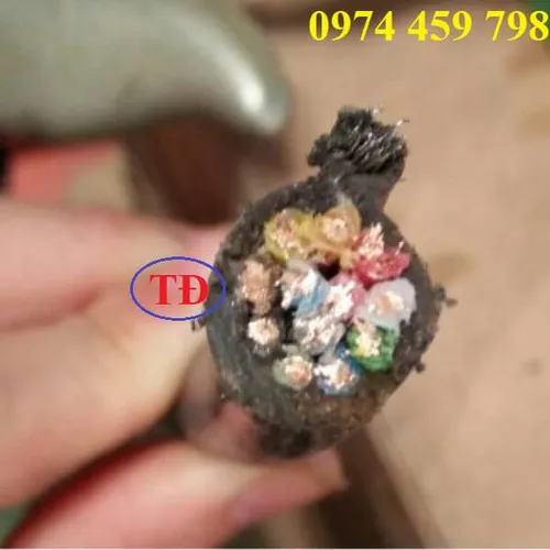 Cáp điều khiển cầu trục có lõi thép